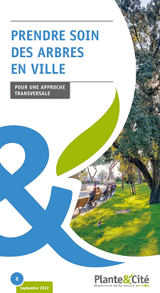Prendre soin des arbres en ville - Pour une approche transversale