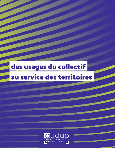 Des usages du collectif au service des territoires 