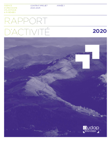 Rapport d'activité 2020 - Livret 1