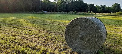 a prairie permanente de fauche permet d’assurer une production agricole sans pesticide, à proximité des captages